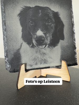 leisteen foto